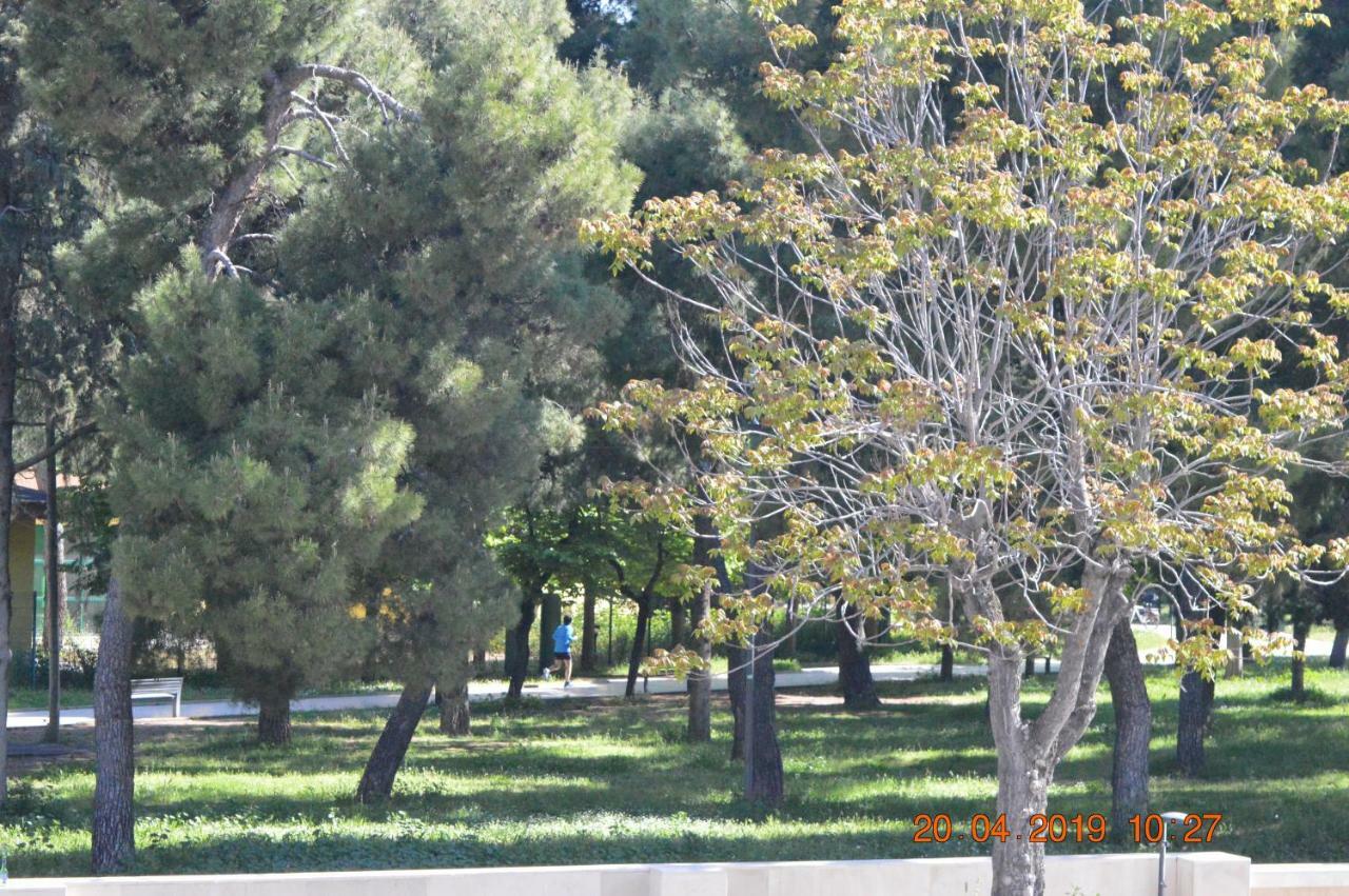 Maison Sama ' Andria Dış mekan fotoğraf